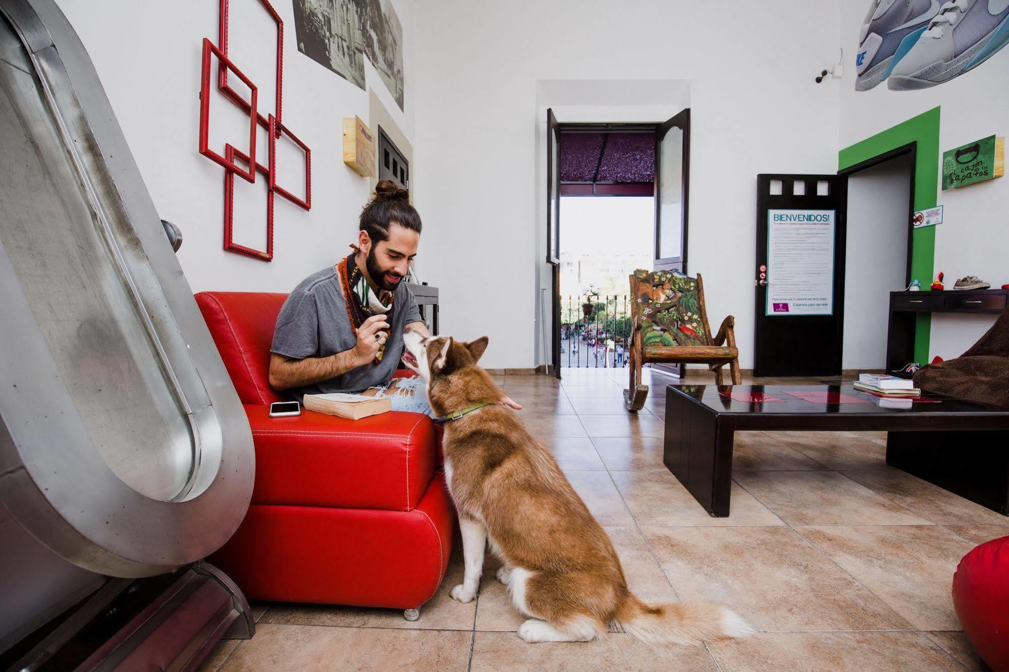Hostal El Armario León Exteriér fotografie